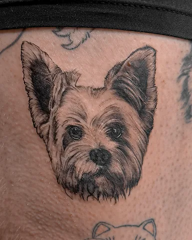 Realistic black and grey Yorkshire Terrier portrait thigh tattoo, by Domi (based in Coventry, UK)