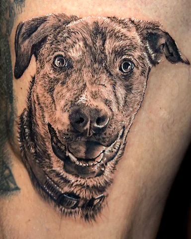 Realistic black and grey dog portrait thigh tattoo, by Domi (based in Coventry, UK)