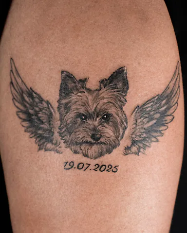 Black and grey memorial Yorkshire Terrier with angel wings upper arm tattoo, by Domi (based in Coventry, UK)