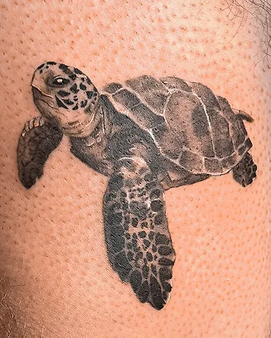 Realistic black and grey sea turtle leg tattoo, by Domi (based in Coventry, UK)